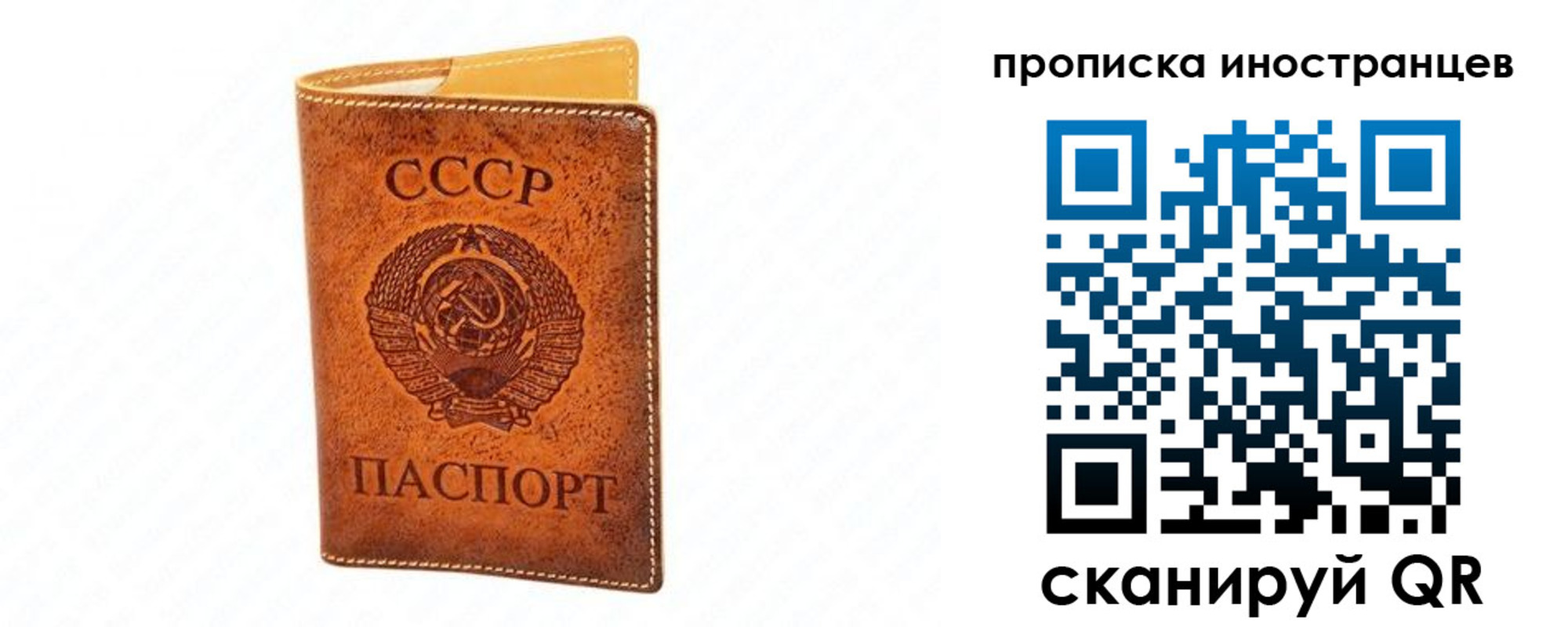 прописка для школы в Дрезне